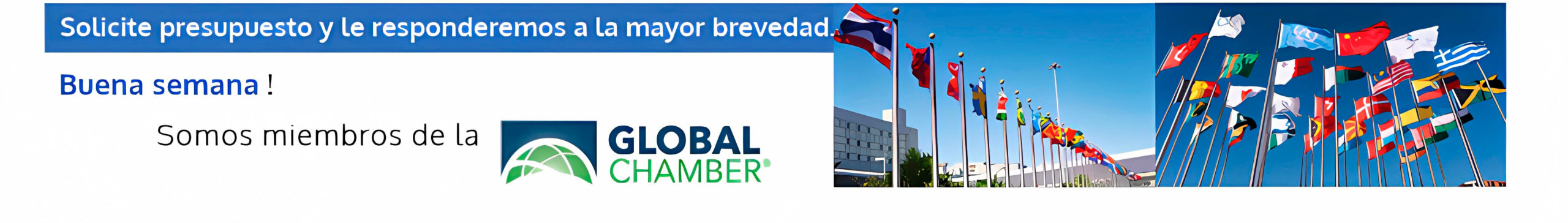 newsletter español