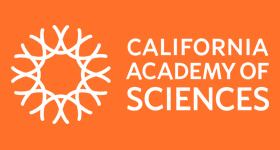 auerbach logo california-academic Translating and Interpreting